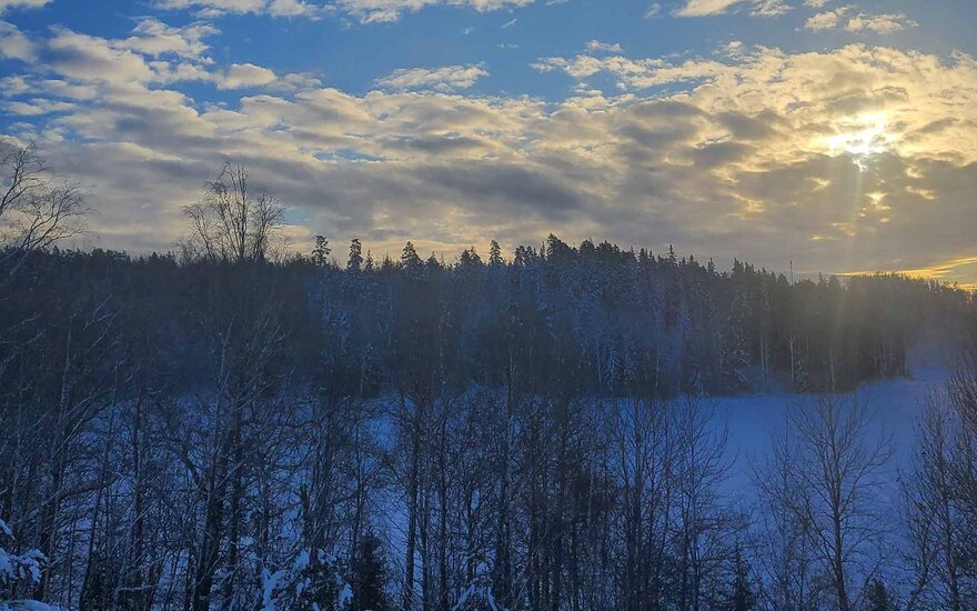 Wald mit Schnee bedeckt mit der untergehenden Sonne hinter den Wolken