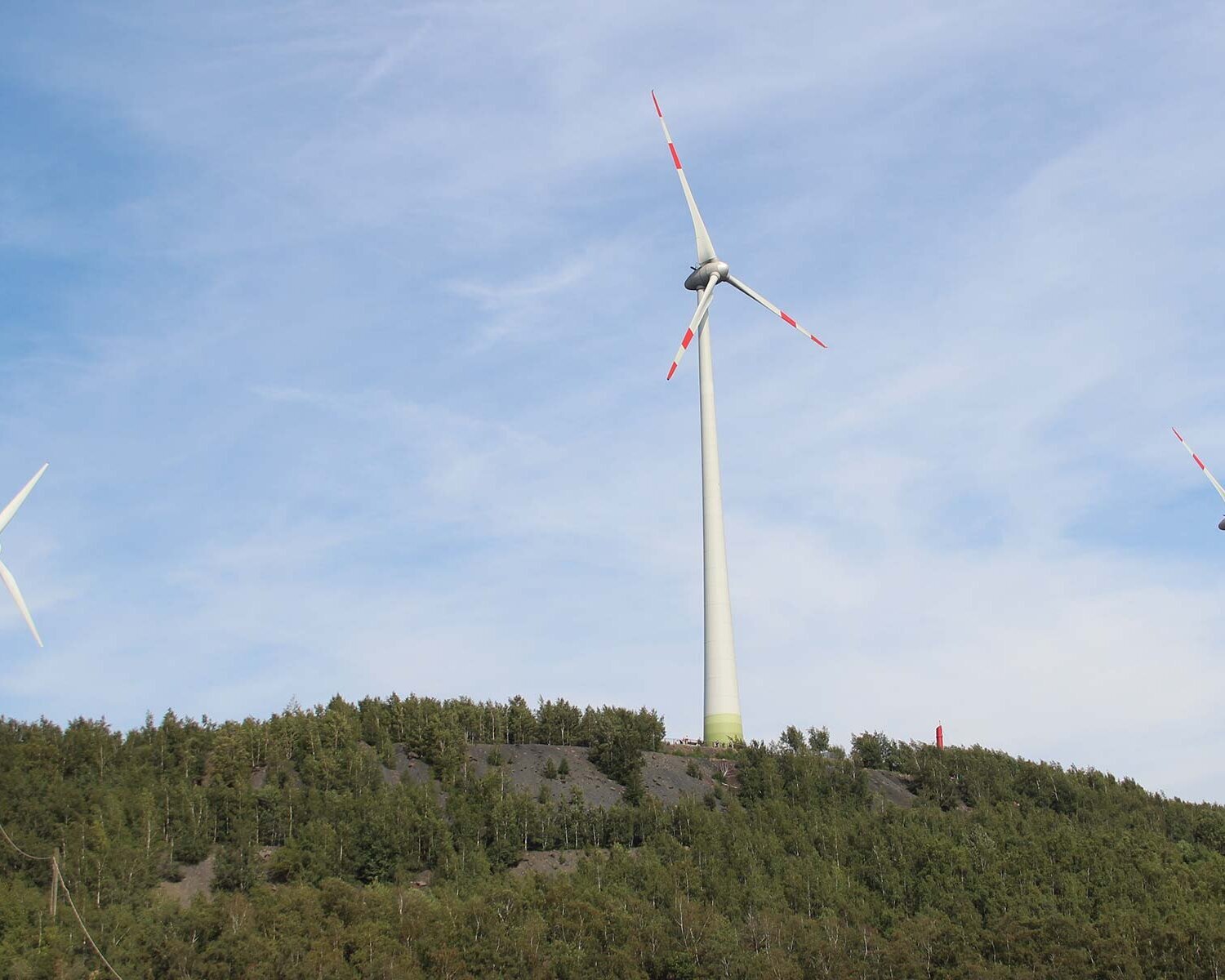 Weiße Windräder stehen zwischen grünen Bäumen vor blauen Himmel.