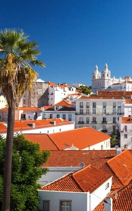 Bild von Häuserdächern in Lissabon.