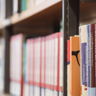 Verschiedenfarbige Bücher stehen in einem Regal.